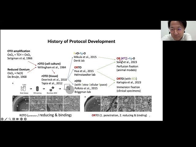 VIA Webinar: Saturated osmium en bloc staining of whole organs for high-throughput volume EM