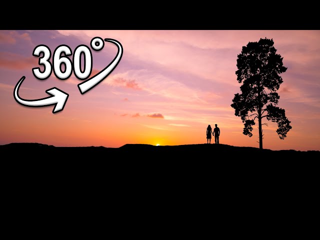 sunset Backlight cinematic | VR 360°