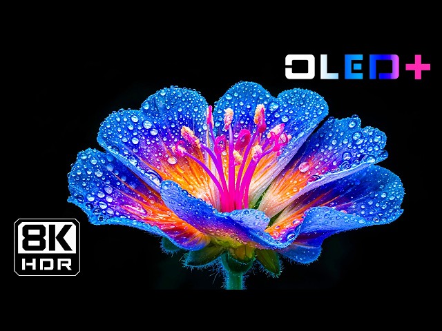 BEST OLED DEMO - Luminous Floral Blooming in 8K HDR | Dolby Vision™