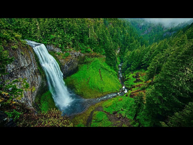 Healing Frequencies – 1 Hour Chakra Meditation for Inner Alignment