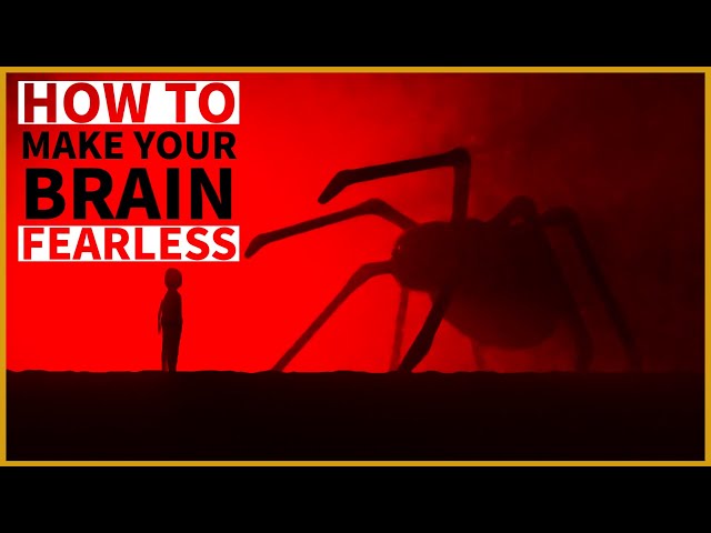 The Neuroscience of Fear Conditioning