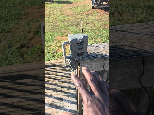 quick fix for the spypoint flex M #trailcamera #deer #wildlife #spypoint