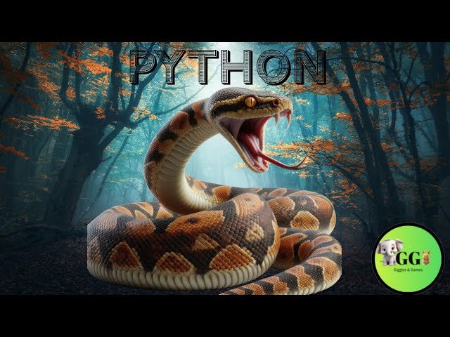 🐍 Python Fun Facts for Kids | Learn About Pythons | Reptiles