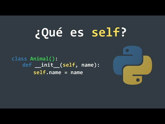 ¿Qué es SELF y para qué sirve? (2024) #python