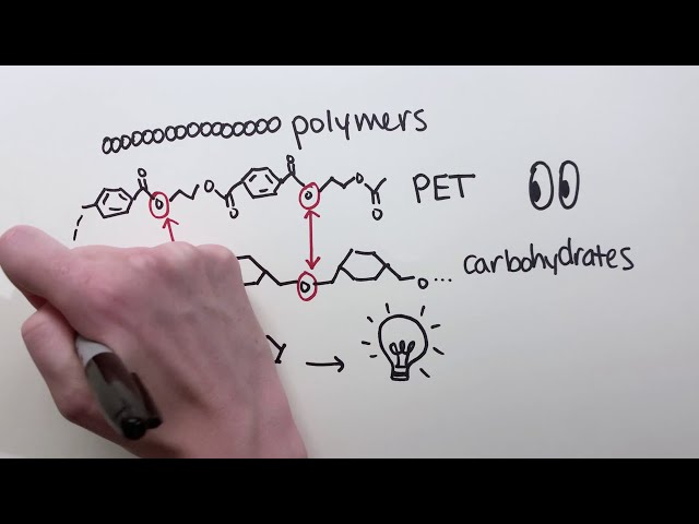 How does recycling using enzymes work?