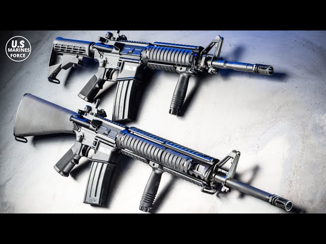 M4 vs M16: ¿Cuáles son sus similitudes y diferencias?