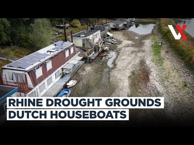 Rhine Runs Dry? Houseboats Sit On Mud As Historic Low Water Cripples Dutch Shipping | VERTEX