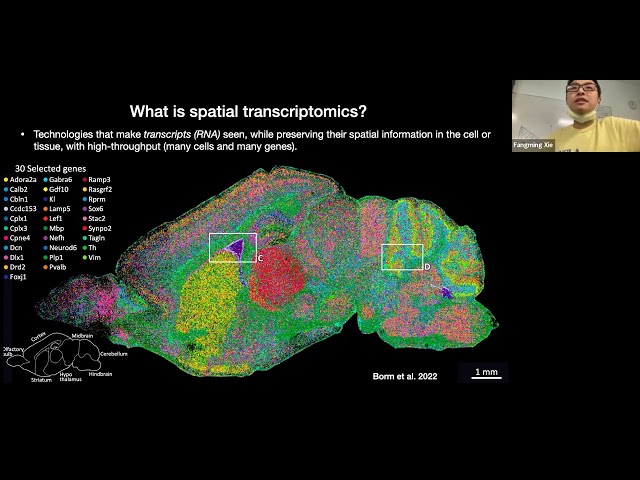 W31: Spatial Transcriptomics – Day 1