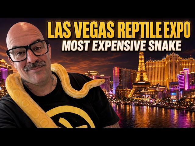 The $25,000 Snake Nobody Expected to See...Inside the Las Vegas Central Valley Reptile Expo