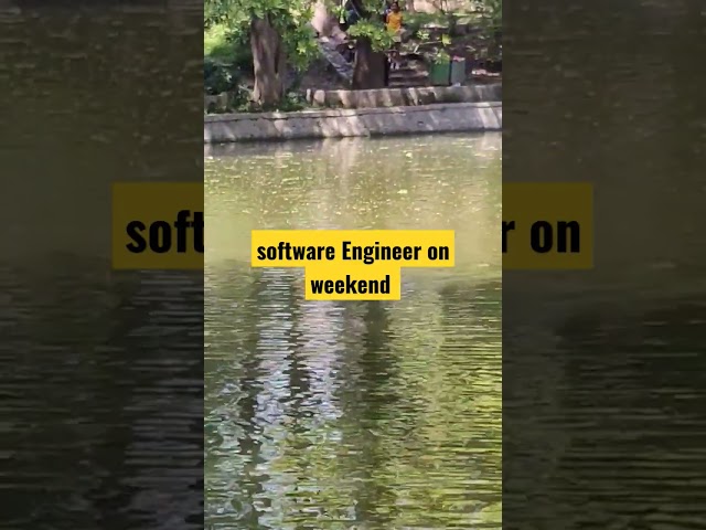 SOFTWARE ENGINEER ON WEEKEND 😲😲 #software #javascript #coding #programming #javaprogramming #java