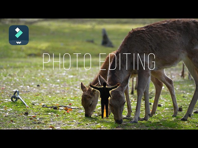 Turn a Simple Photo Into a Visual Glow-Up