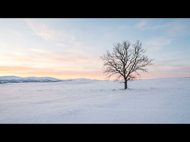 Schubert - Waltzes, Op. 9a, D.365, Nos. 1, 2, 6, 10, 14, 16