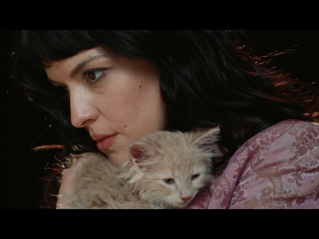 Not For Radio - Kitten (Official Video)