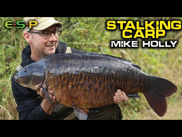 Stalking Carp | Mike Holly | Carp Fishing