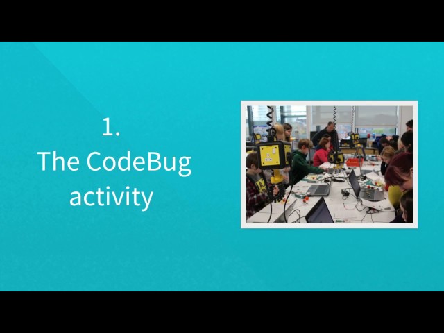 EdLab Student Report: Code Bug Project by Janina Kärri