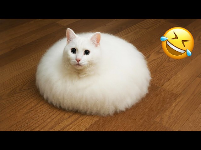 You Laugh You Lose 😹 Funniest Cats and Dogs 2026🤣