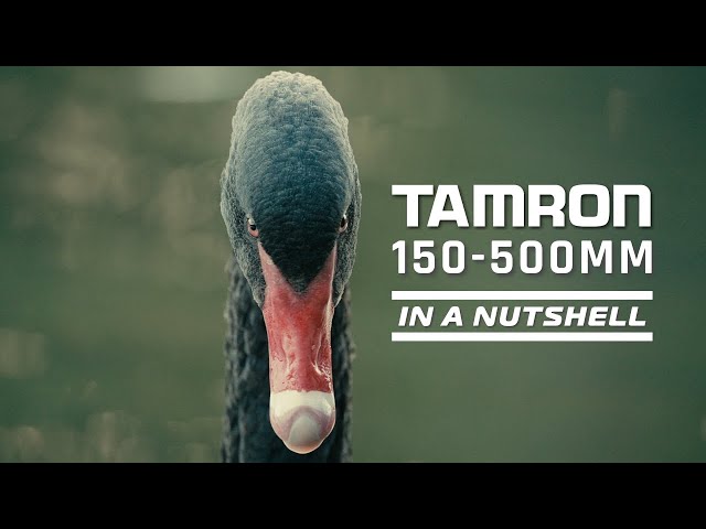Tamron 150-500 mm f/5-6.7 DI III VC VXD: En resumen
