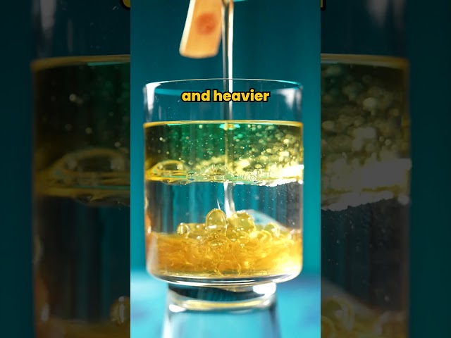 How does Liquid Density Experiment work?  Easily explained #shorts #science #experiment #explained