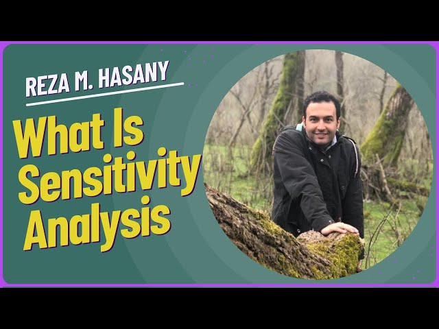Sensitivity Analysis Explained  Impact of Data Changes in Optimization