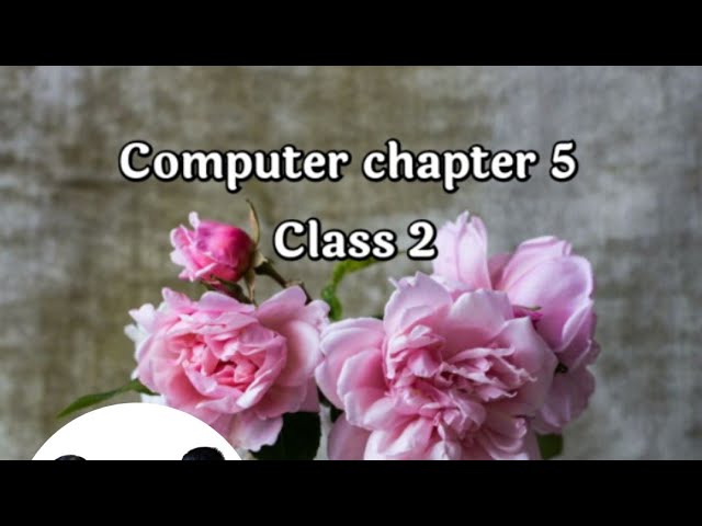 Computer chapter 5 (class 2)
