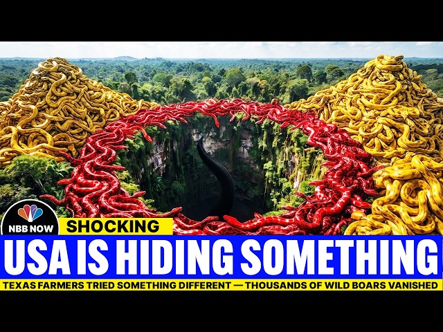 Something Bigger Than a Python Is Hunting in Florida — Cameras Captured It