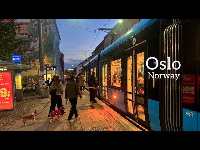 OSLO NORWAY, Evening Fall Walk In Oslo City🇳🇴🍂Virtual Walking Tour!4K
