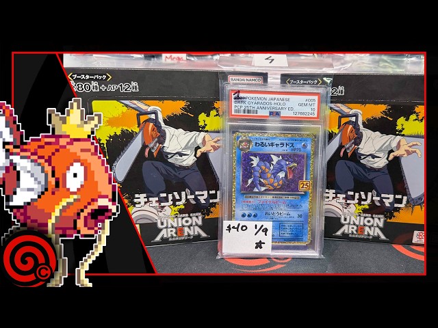 NEW CHAINSAW MAN - NEW CHILLING REIGN - NEW CHAOS RISING BOX BREAK
