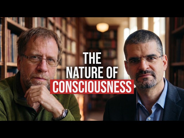 Bernardo Kastrup Λ John Vervaeke on Meta-Consciousness