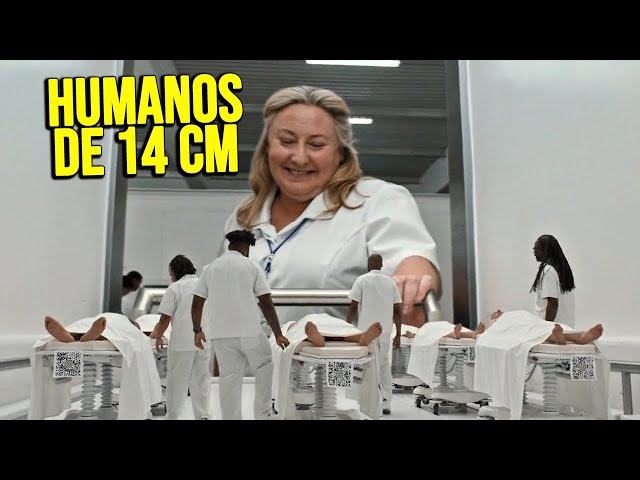 HUMANOS SON REDUCIDOS A 14 CENTIMETROS PARA HACERSE RICOS | Resumen Pequeña Gran Vida en minutos