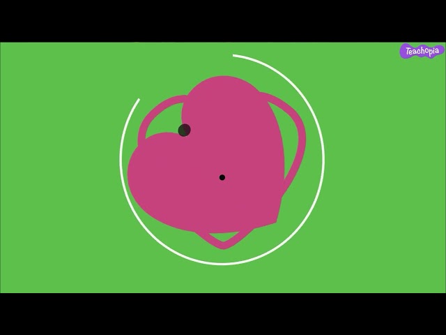 Rotational Symmetry - Introduction | Hindi version