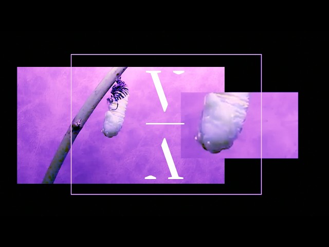PARIS - Flourish (Just Her Remix)