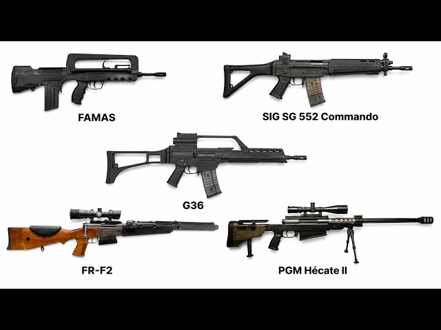 The 5 Guns That Defined France's Elite GIGN