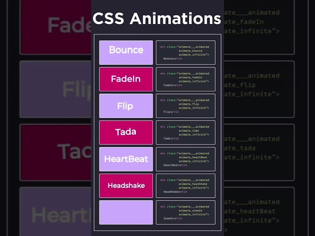 Css Animation Effect Tutorial | For Beginners | HTML | CSS
