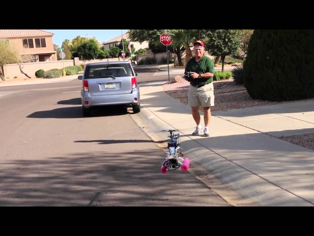 Trex600 Video Flight