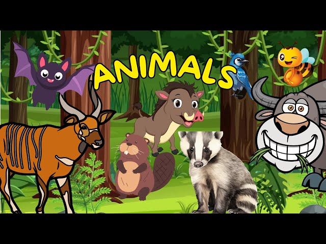 Animals for Kids | 20 Animals That Start with B | Learn Animal Names for Kids | Educational Video