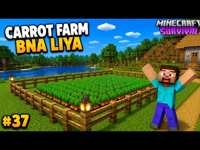 Carrot Farm Bana Liya! 🥕🌱 | Minecraft Survival #37