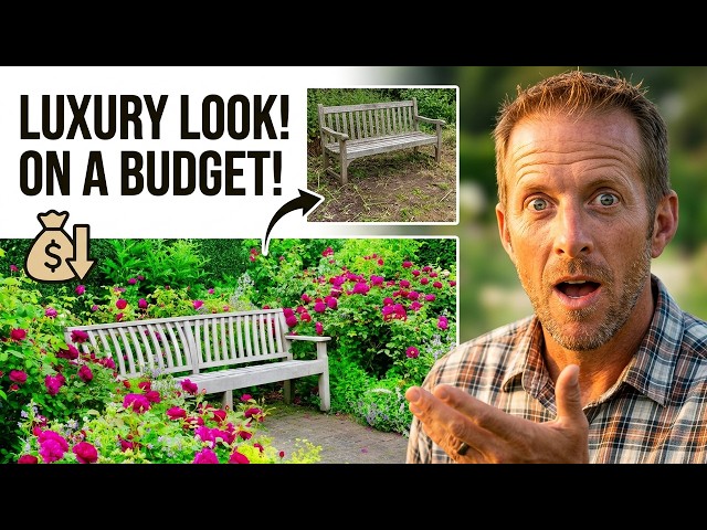 9 Budget Friendly Landscaping Secrets That Looks Like You Spent Thousands