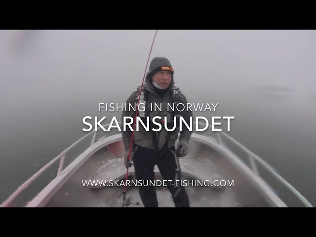 How to catch Cod, fillet and cook