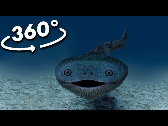 360º VR Sacabambaspis
