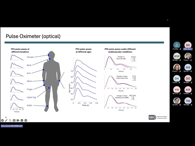 Summer Course 2026: 15 Physiology in the time series signal by Burak Akin