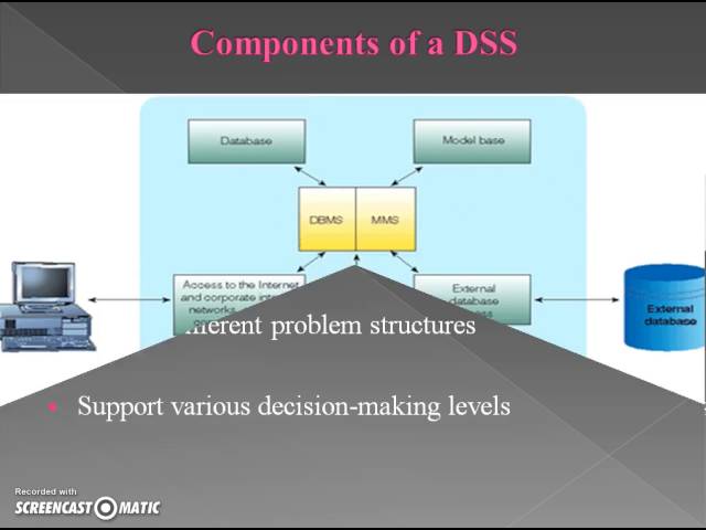 DSS - Decision Support System