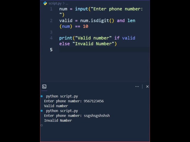 Learn Python in 30 Seconds ⏱️ | Phone Validator