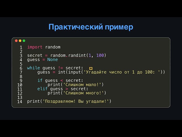 Lesson 6. The while Loop in Python
