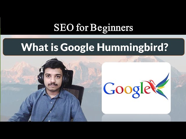 What is Google Hummingbird in SEO?