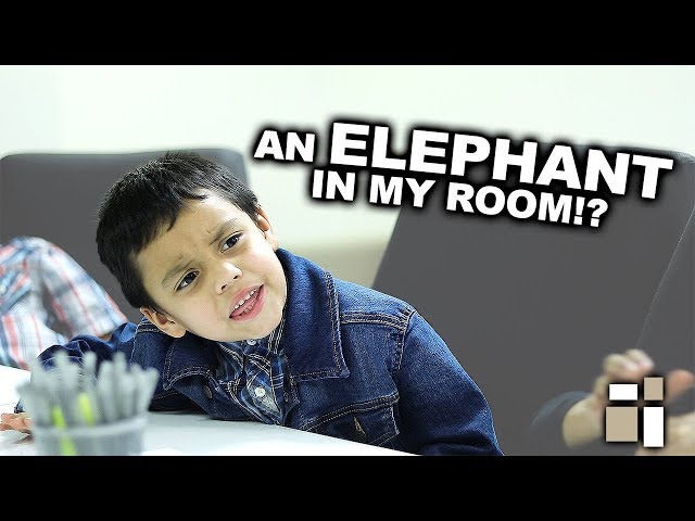 The Elephant In The Bedroom by Kings Kidz