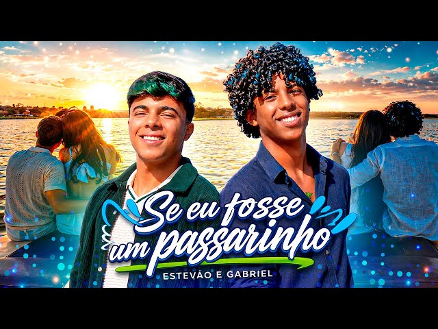 IF I WERE A LITTLE BIRD - ESTEVÃO E GABRIEL ( OFFICIAL MUSIC VIDEO )