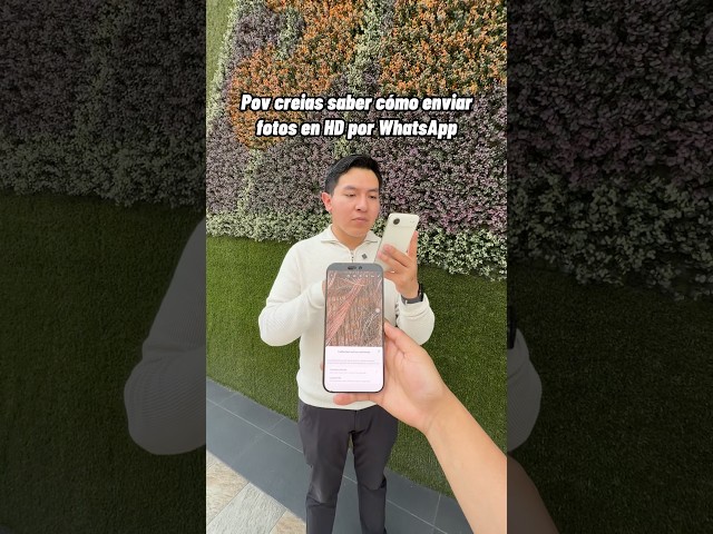 Pov creías saber cómo enviar fotos en HD por WhatsApp #apple #iphone #tecnologia #technology