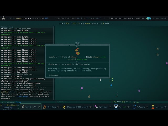 [Caves of Qud 1.0] - BZzZzt SpeedRun Day 4 - We Pray to God for Nick to be Happy, as he is COOL