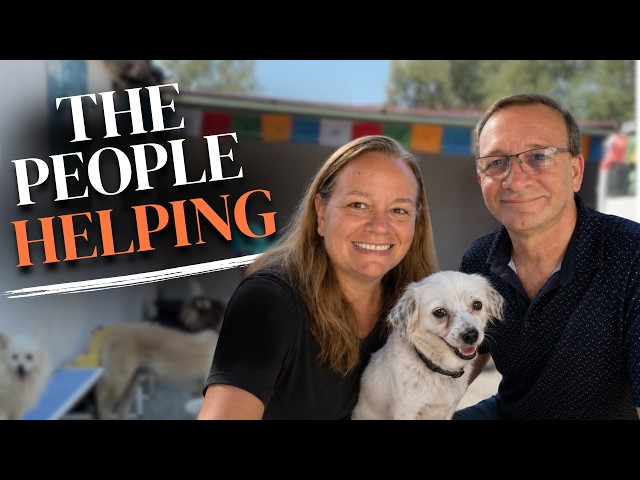 Inside the Grassroots Mission Saving Albania’s Stray Dogs
