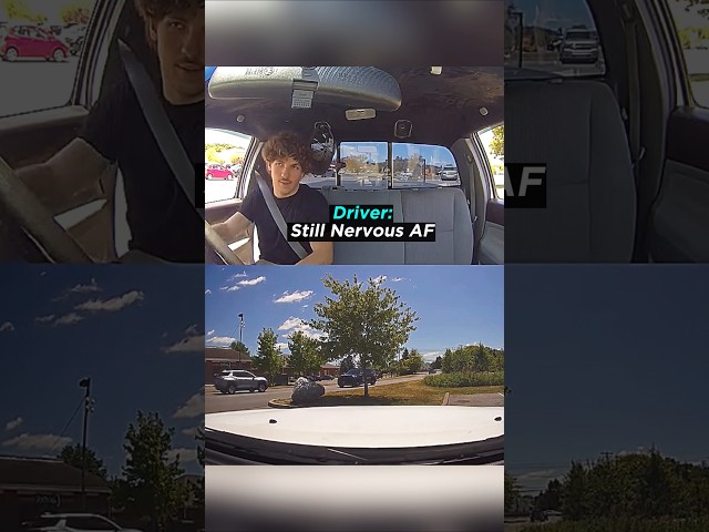 Driver Didn't Want Any Trouble With the Cop